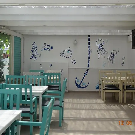 ゲストハウス Pensiunea Casa Harghita